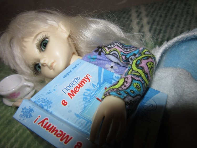 Зимушка моя — Куклы Resinsoul (Резинсоул) и Bobobie: BJD (БЖД)