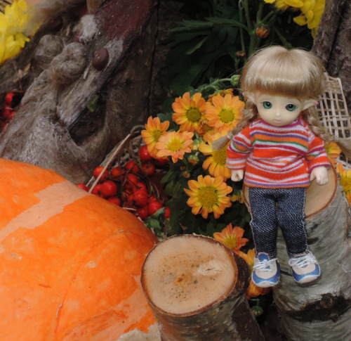 Юлька в Питере — Куклы Brownie (Брауни) Felix Doll: Tiny BJD (БЖД)