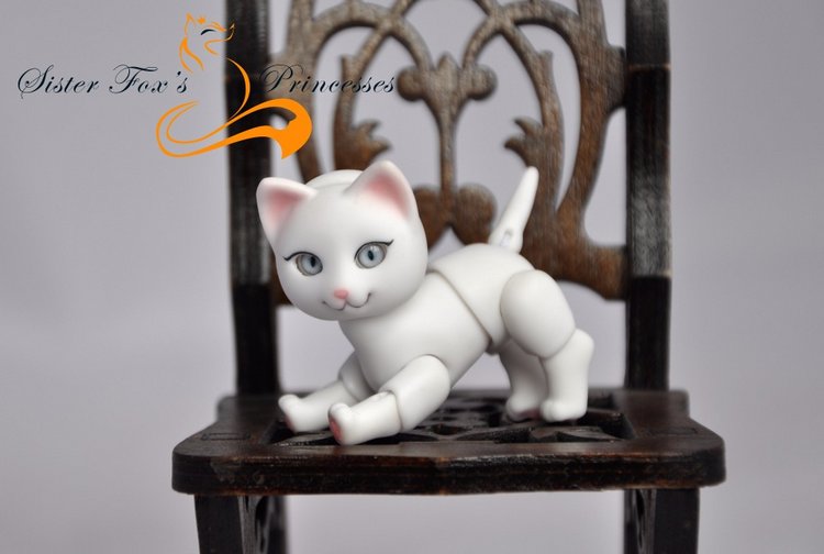 Объявляю предзаказ на котят (фото 6)