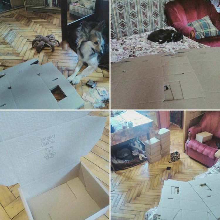 Отчёт за январь, февраль, март и апрель