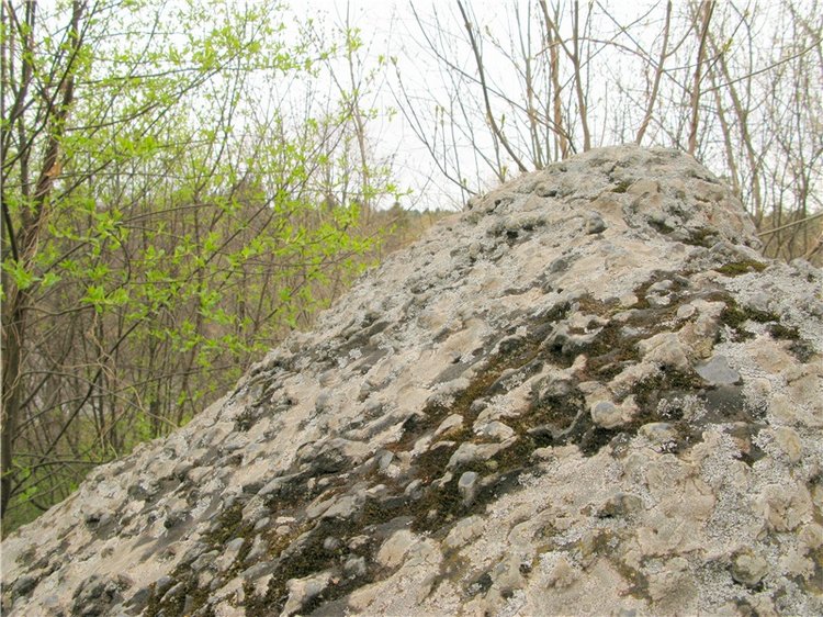 Майский день в Митино — Туризм и путешествия: фотоотчеты из поездок