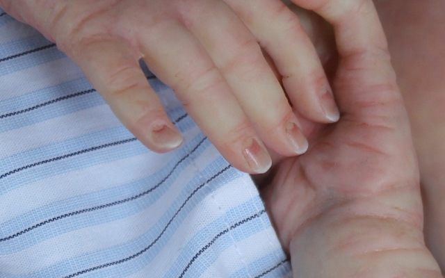 Сиренити от Екатерины Бойковой. Serenity Laura Lee Eagles