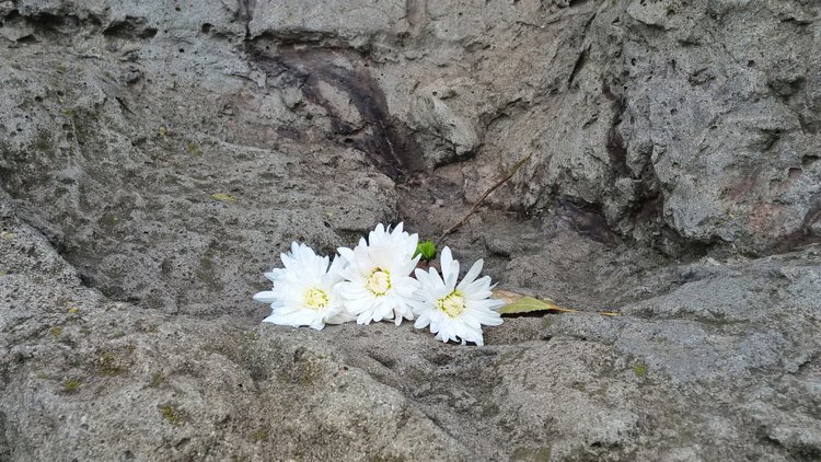 Я не участвую в войне — она участвует во мне