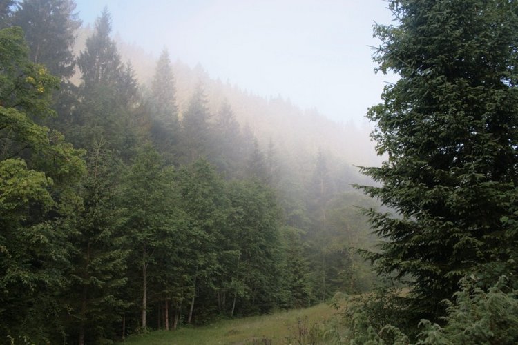 Как мы горы покоряли — Куклы Rosemarie Anna Muller (Мюллер): Вихтели (Wichtel)