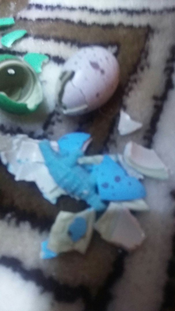 Зимнее солнце. Глава 4: Маленькая доза волшебства