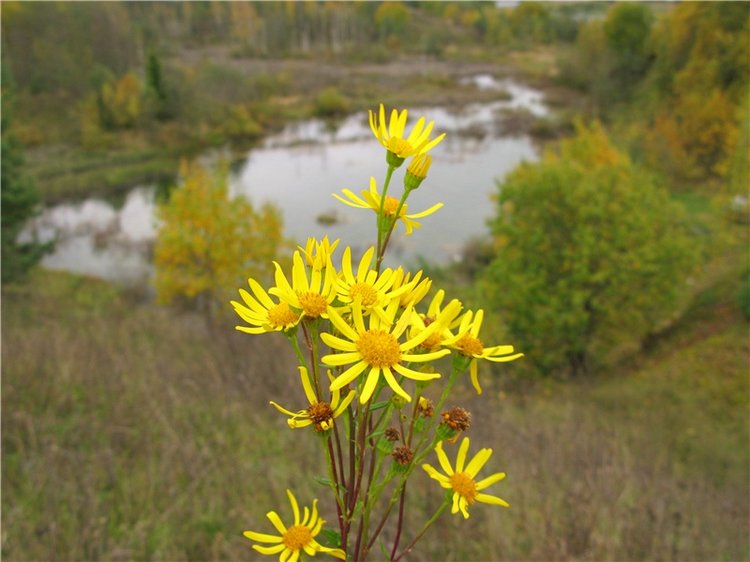 Тверской Водопад — Туризм и путешествия: фотоотчеты из поездок