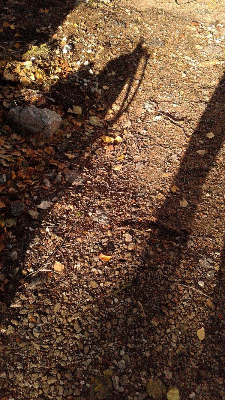 Зимнее солнце. Глава 9. Последняя остановка