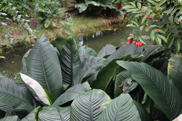 По Германии: зоопарк Лейпцига, часть 2