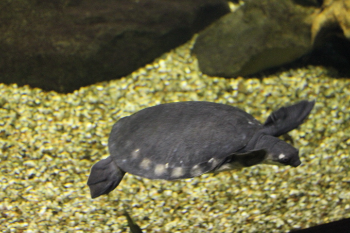 По Германии: зоопарк Лейпцига, часть 1