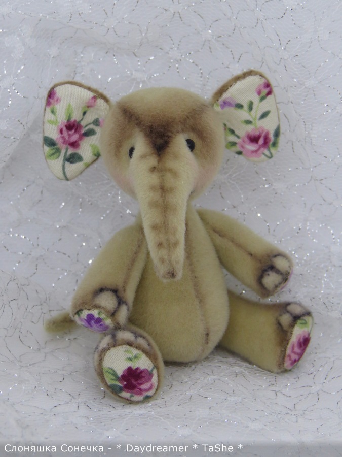 И теперь уже второй слоненок... и снова девочка (фото 2)