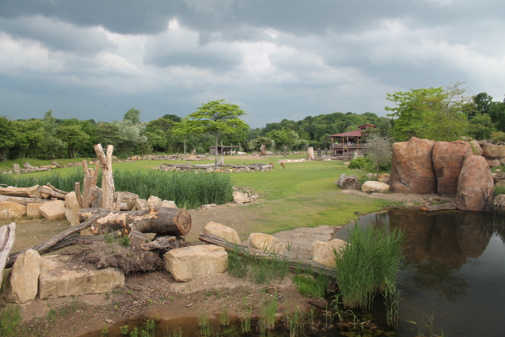 По Германии: зоопарк Лейпцига, часть 3