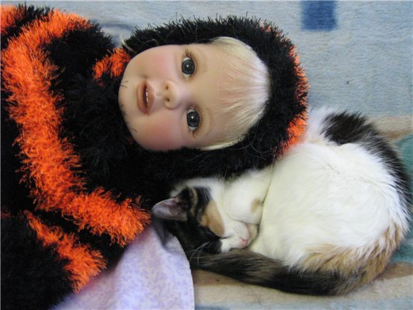 То ли пчёлка, то ли шмель, толь другой какой то зверь (фото 10)