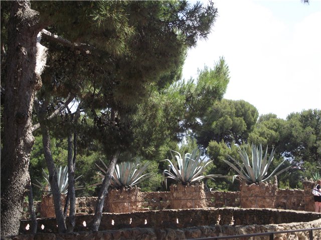 Мои летние впечатления-2... Испания (фото 4)