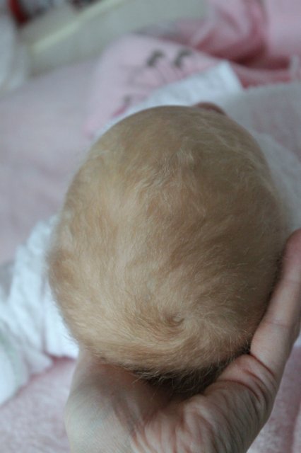 Спящая крошка НОА. Куколка реборн Виктории Вишни