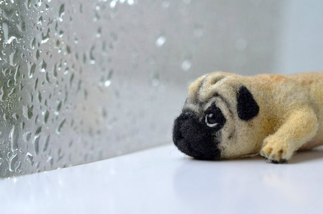 Пасмурный мопсик. Игрушка валянием своими руками (фото 9)