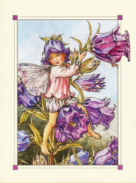 Добро пожаловать в мир ЦВЕТОЧНЫХ ФЕЙ (фото 2)