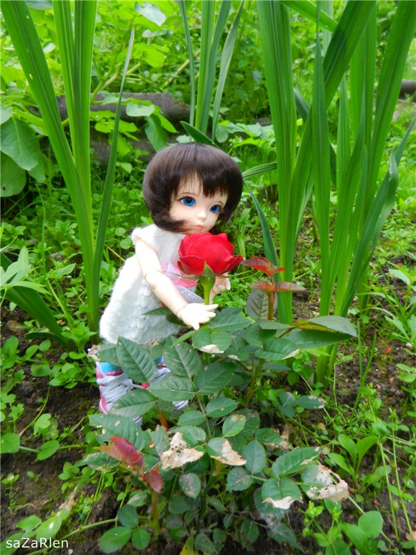 Варвара путешевственница (Литтлфи Анте) (фото 9)