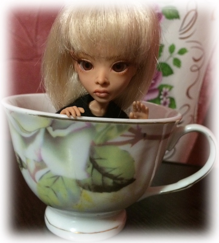 AmiGaTa Cuatra, Тимур Зелеев (фото 6)