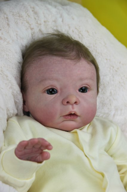 Софийкин! Кукленок реборн Виктории Вишни