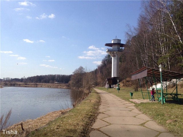 Моя новенькая Рыжулька Tulah от Helen Kish