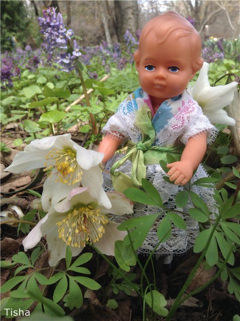 Маленькие садовники или весна в Аптекарском огороде