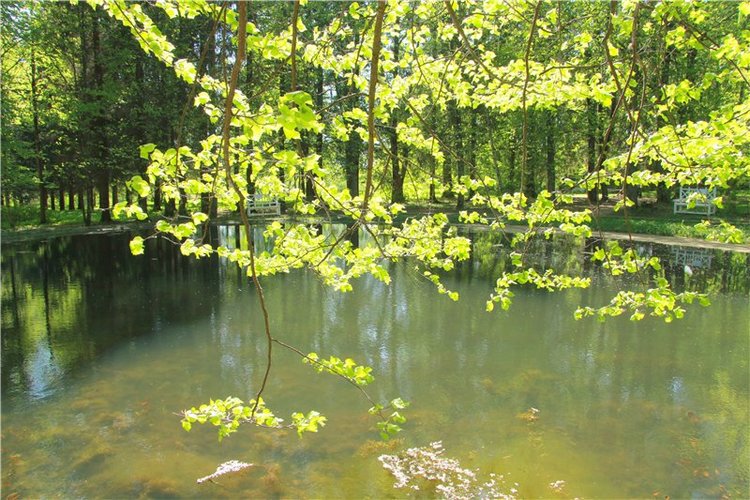 Субботний вояж. Часть вторая | Бэйбики Субботний вояж. Часть вторая