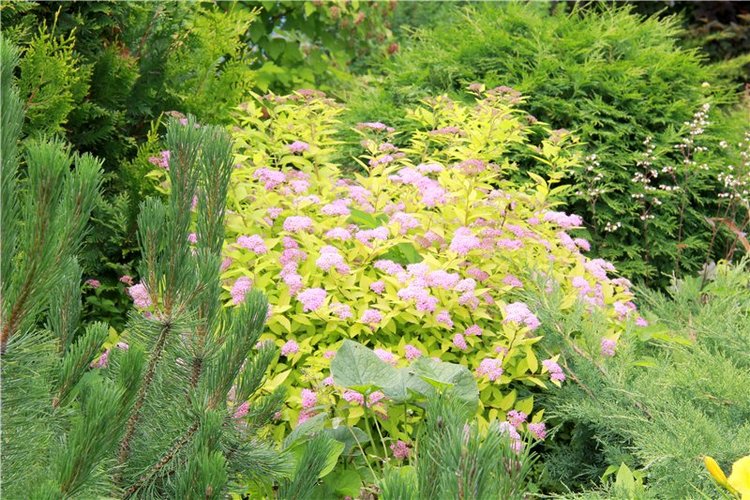 Кашин - город русского сердца. Часть седьмая. Вознесенский кафедральный собор