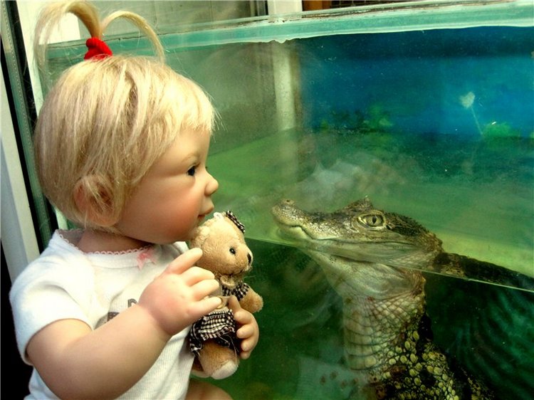 Лето. Солнце. Море. Всё смешалось - звери, куклы. Часть2 | Бэйбики Лето. Солнце. Море. Всё смешалось - звери, куклы. Часть2