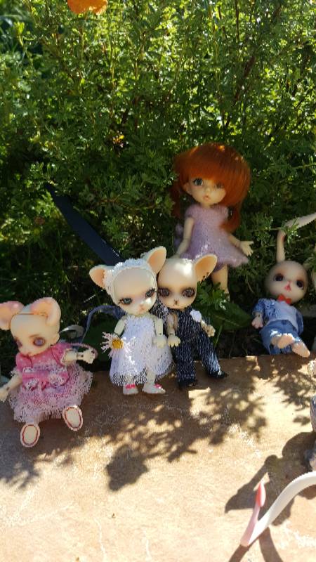 Большая свадьба Панг-Панга и Джулии (фото 2)