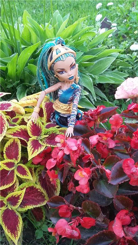 В гостях у бабушки ))) или яркое лето 2016 с девочками от Монстр Хай | Бэйбики В гостях у бабушки ))) или яркое лето 2016 с девочками от Монстр Хай