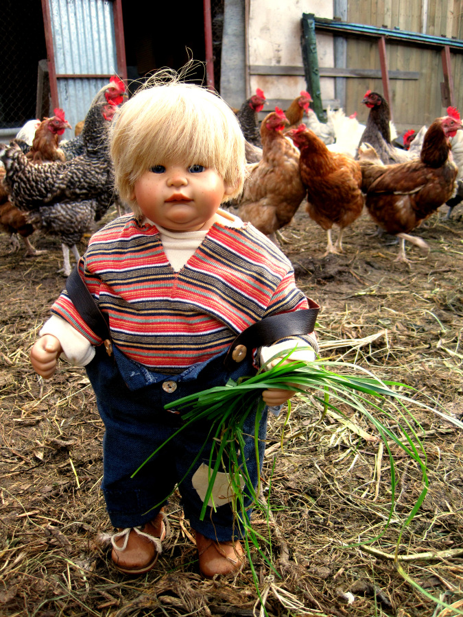 Выходные в деревне. Эдер - коллекционна кукла Susi Eimer (фото 8)