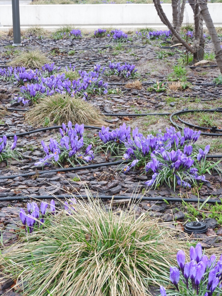 Мишки с Тишинки... Mosfair 2017 (фото 2)
