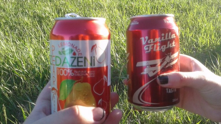 Природа Пскова: из весны в лето