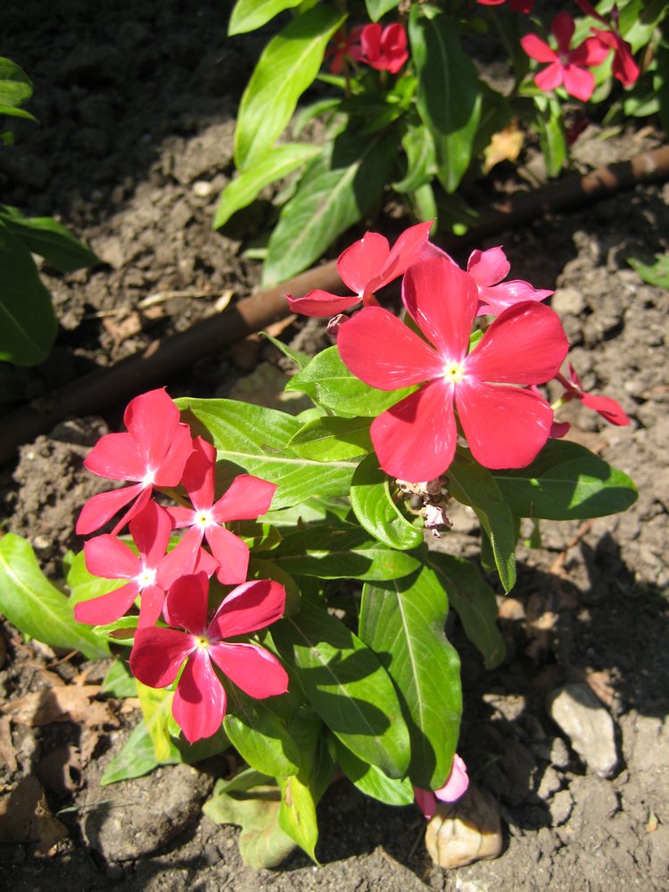 Вот такая вот Болгария — Туризм и путешествия: фотоотчеты из поездок