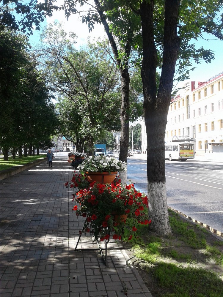 Псков: из лета в лето. Прогулки по городу и куклы