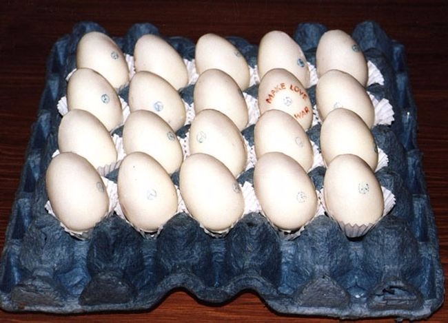 И снова тортики — Интересное и необычное: фотоподборки (фото 6)