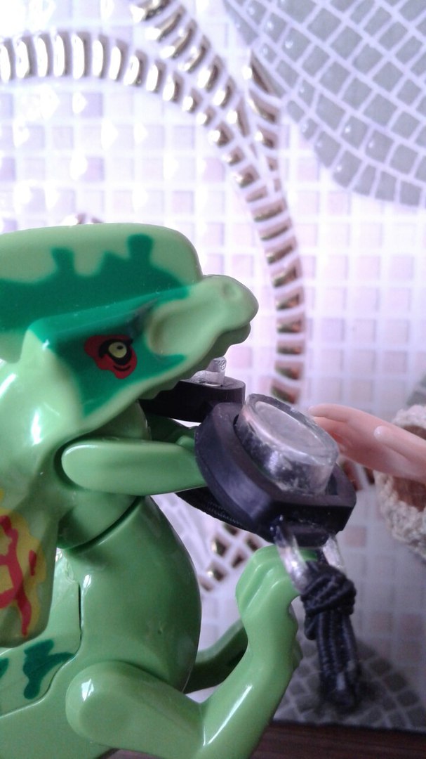 Зимнее солнце. Глава 8. Староста