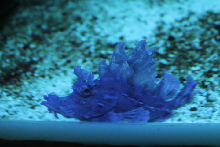 По Германии: зоопарк Лейпцига, часть 1