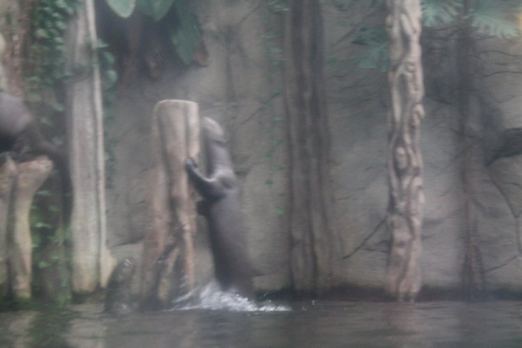 По Германии: зоопарк Лейпцига, часть 2