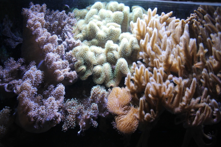 По Германии: зоопарк Лейпцига, часть 1