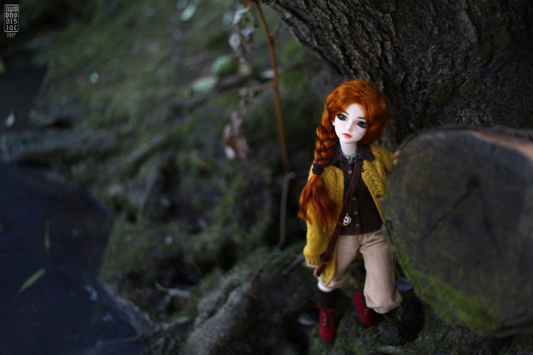 Мирвен в парке в последние дни осени (фото 7)