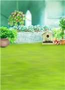 Закрыто. Совместная закупка фонов для фотографирования кукол