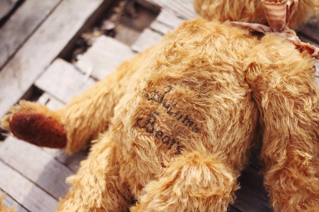 Старый забытый друг | Бэйбики Старый забытый друг — Авторские мишки Тедди и друзья: фото (фото 5)