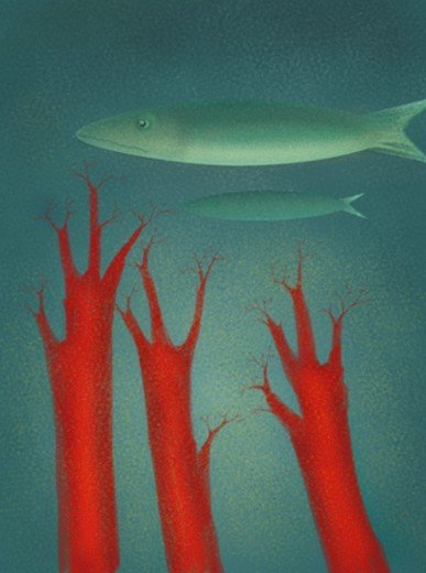 Раскрашивайте всё, что хотите