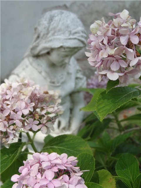 Катинка Готц и "Старый дворик"