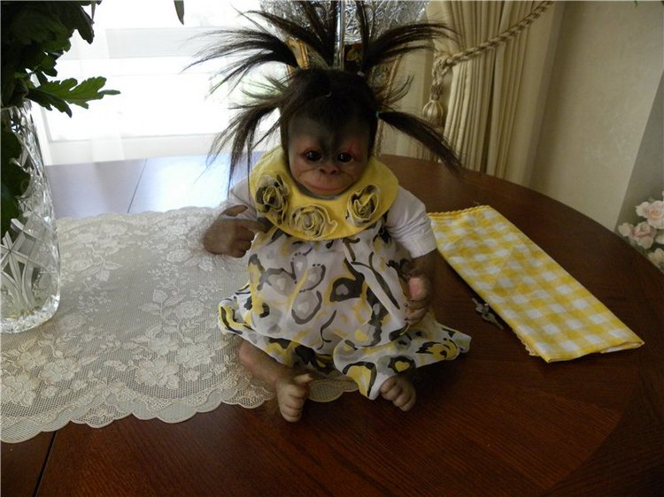 Необычное пополнение в моем доме (фото 2)