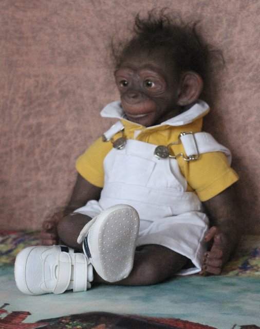 Гога, он же Гоша,он же Гора, он же Жора, здесь проживает? кукла реборн Элины Кудрявцевой