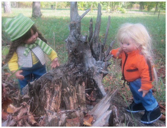 "Неприятный случай" или Ёжик, осень, грибочки. Wichtel, Rosemarie Anna Muller