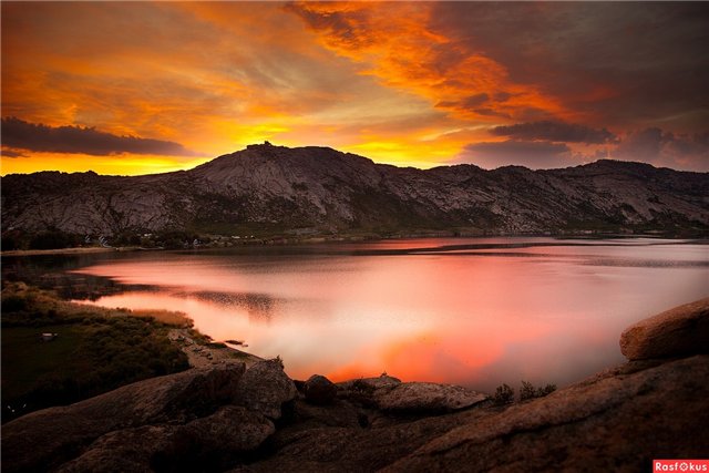 Сибинские озера. Фросенька-эльф высокогорный. ReaiPuki Pupu (фото 5)