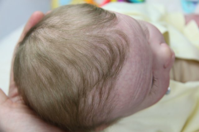 Софийкин! Кукленок реборн Виктории Вишни